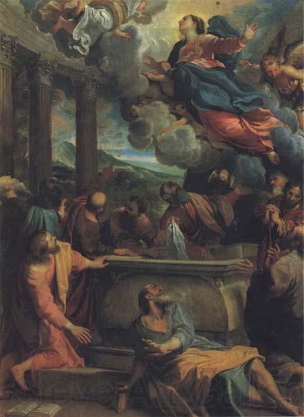 Annibale Carracci The Assumption of the Virgin Norge oil painting art